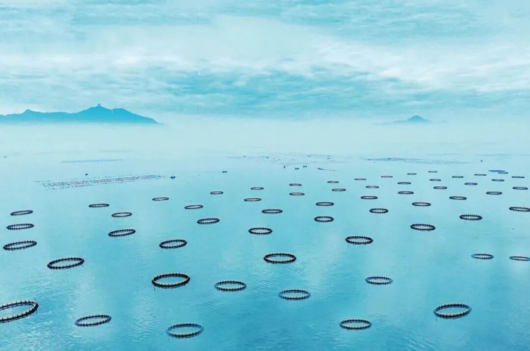 深水网箱智能监控平台