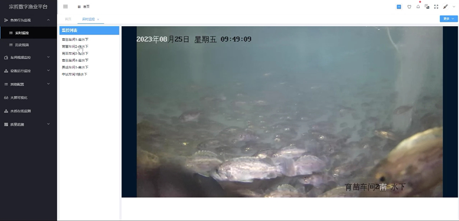 水下生物行为监控识别